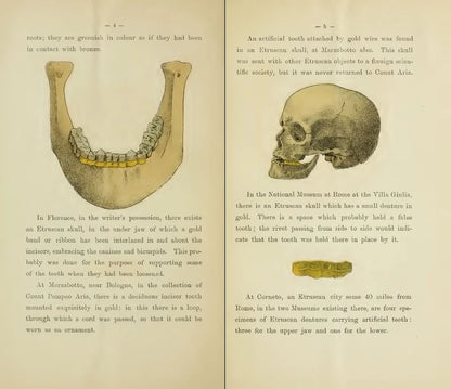 Dentistry - Tooth Decay Plaque Denture Gum Oral Orthodontics 187 Unique titles